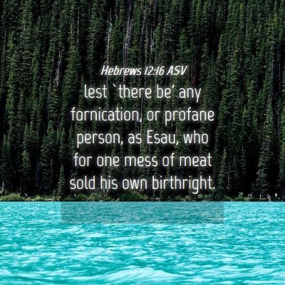 Picture 04 - Hebrews 12:16 ASV - lest `there be' any fornication, or profane - Bible Verse Picture