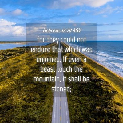 Picture 04 - Hebrews 12:20 ASV - for they could not endure that which was - Bible Verse Picture