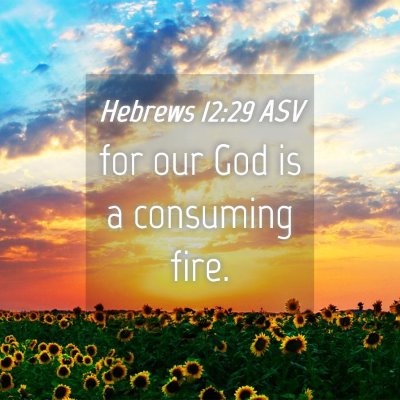 Picture 04 - Hebrews 12:29 ASV - for our God is a consuming - Bible Verse Picture