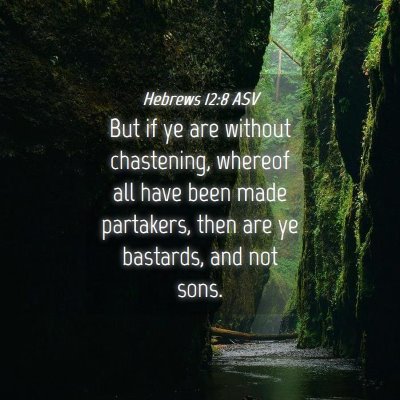 Picture 04 - Hebrews 12:8 ASV - But if ye are without chastening, whereof all - Bible Verse Picture