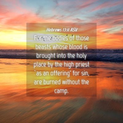 Picture 04 - Hebrews 13:11 ASV - For the bodies of those beasts whose blood is - Bible Verse Picture