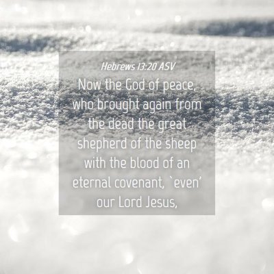 Picture 04 - Hebrews 13:20 ASV - Now the God of peace, who brought again from the - Bible Verse Picture