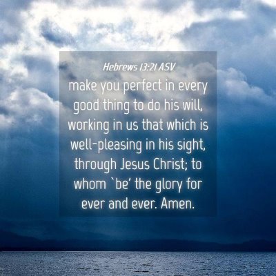 Picture 04 - Hebrews 13:21 ASV - make you perfect in every good thing to do his - Bible Verse Picture