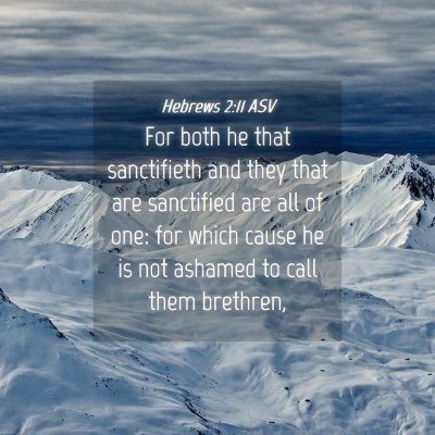 Picture 04 - Hebrews 2:11 ASV - For both he that sanctifieth and they that are - Bible Verse Picture