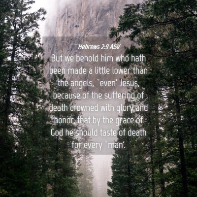 Picture 04 - Hebrews 2:9 ASV - But we behold him who hath been made a little - Bible Verse Picture