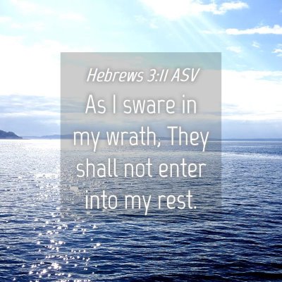 Picture 04 - Hebrews 3:11 ASV - As I sware in my wrath, They shall not enter into - Bible Verse Picture