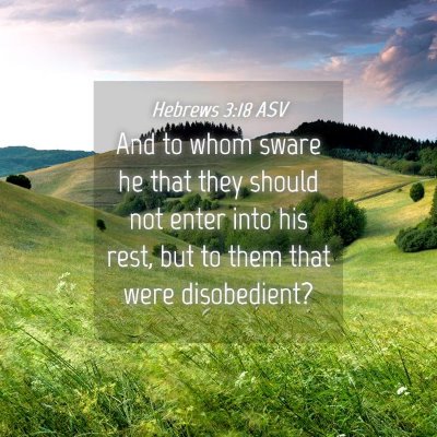 Picture 04 - Hebrews 3:18 ASV - And to whom sware he that they should not enter - Bible Verse Picture