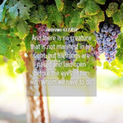 Picture 04 - Hebrews 4:13 ASV - And there is no creature that is not manifest in - Bible Verse Picture