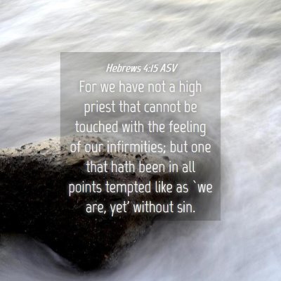 Picture 04 - Hebrews 4:15 ASV - For we have not a high priest that cannot be - Bible Verse Picture