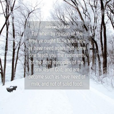 Picture 04 - Hebrews 5:12 ASV - For when by reason of the time ye ought to be - Bible Verse Picture