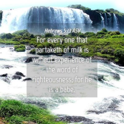 Picture 04 - Hebrews 5:13 ASV - For every one that partaketh of milk is without - Bible Verse Picture