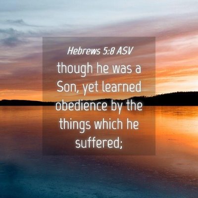 Picture 04 - Hebrews 5:8 ASV - though he was a Son, yet learned obedience by the - Bible Verse Picture