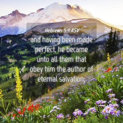 Picture 04 - Hebrews 5:9 ASV - and having been made perfect, he became unto all - Bible Verse Picture