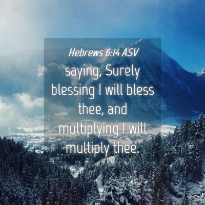 Picture 04 - Hebrews 6:14 ASV - saying, Surely blessing I will bless thee, and - Bible Verse Picture