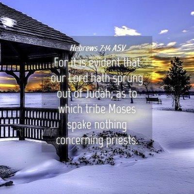 Picture 04 - Hebrews 7:14 ASV - For it is evident that our Lord hath sprung out - Bible Verse Picture