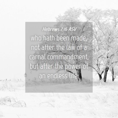 Picture 04 - Hebrews 7:16 ASV - who hath been made, not after the law of a carnal - Bible Verse Picture