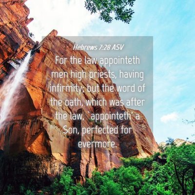 Picture 04 - Hebrews 7:28 ASV - For the law appointeth men high priests, having - Bible Verse Picture