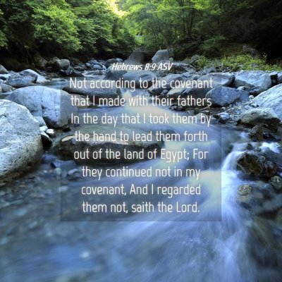 Picture 04 - Hebrews 8:9 ASV - Not according to the covenant that I made with - Bible Verse Picture