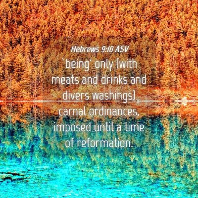 Picture 04 - Hebrews 9:10 ASV - `being' only (with meats and drinks and divers - Bible Verse Picture