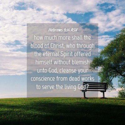 Picture 04 - Hebrews 9:14 ASV - how much more shall the blood of Christ, who - Bible Verse Picture