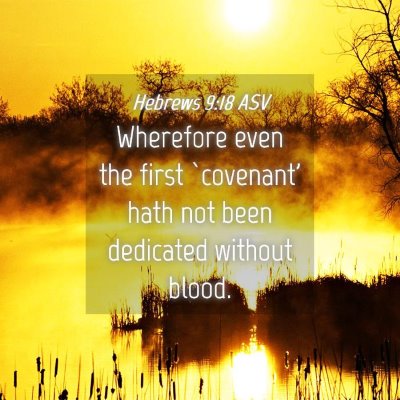 Picture 04 - Hebrews 9:18 ASV - Wherefore even the first `covenant' hath not been - Bible Verse Picture