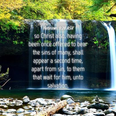 Picture 04 - Hebrews 9:28 ASV - so Christ also, having been once offered to bear - Bible Verse Picture