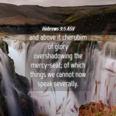 Picture 04 - Hebrews 9:5 ASV - and above it cherubim of glory overshadowing the - Bible Verse Picture