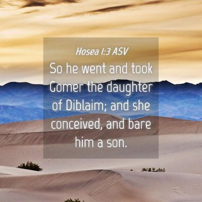 Picture 04 - Hosea 1:3 ASV - So he went and took Gomer the daughter of - Bible Verse Picture