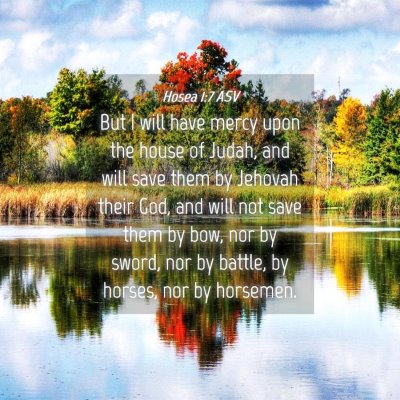 Picture 04 - Hosea 1:7 ASV - But I will have mercy upon the house of Judah, - Bible Verse Picture