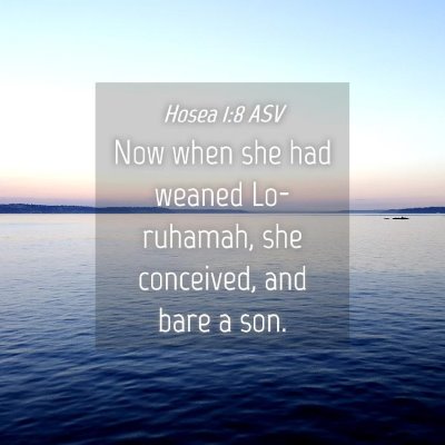 Picture 04 - Hosea 1:8 ASV - Now when she had weaned Lo-ruhamah, she - Bible Verse Picture