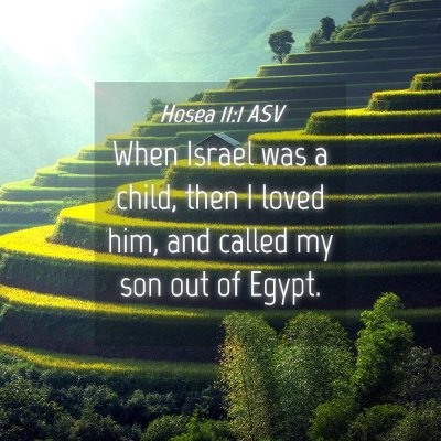 Picture 04 - Hosea 11:1 ASV - When Israel was a child, then I loved him, and - Bible Verse Picture