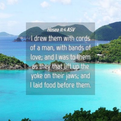 Picture 04 - Hosea 11:4 ASV - I drew them with cords of a man, with bands of - Bible Verse Picture