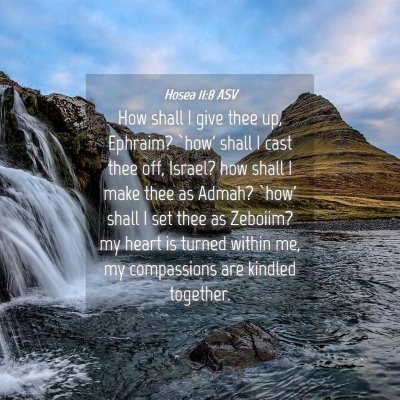 Picture 04 - Hosea 11:8 ASV - How shall I give thee up, Ephraim? `how' shall I - Bible Verse Picture