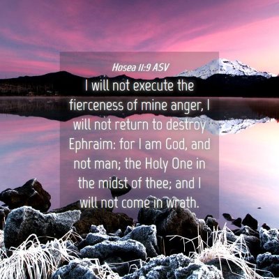 Picture 04 - Hosea 11:9 ASV - I will not execute the fierceness of mine anger, - Bible Verse Picture