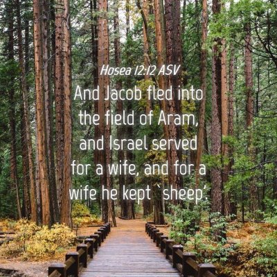 Picture 04 - Hosea 12:12 ASV - And Jacob fled into the field of Aram, and Israel - Bible Verse Picture