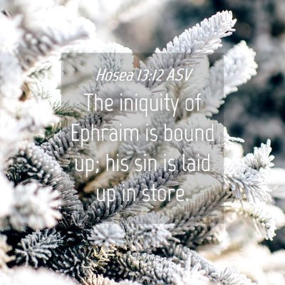 Picture 04 - Hosea 13:12 ASV - The iniquity of Ephraim is bound up; his sin is - Bible Verse Picture