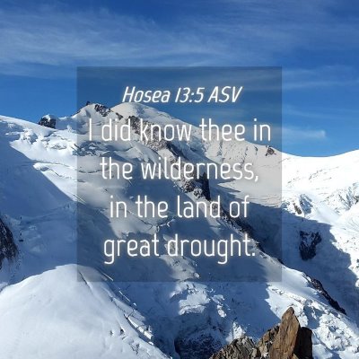 Picture 04 - Hosea 13:5 ASV - I did know thee in the wilderness, in the land of - Bible Verse Picture
