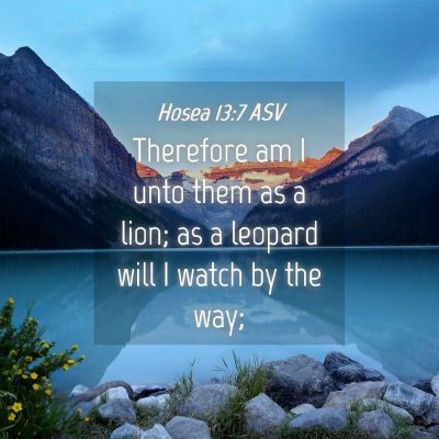 Picture 04 - Hosea 13:7 ASV - Therefore am I unto them as a lion; as a leopard - Bible Verse Picture