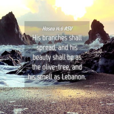 Picture 04 - Hosea 14:6 ASV - His branches shall spread, and his beauty shall - Bible Verse Picture