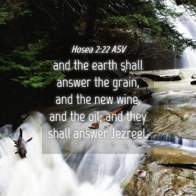 Picture 04 - Hosea 2:22 ASV - and the earth shall answer the grain, and the new - Bible Verse Picture