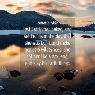 Picture 04 - Hosea 2:3 ASV - lest I strip her naked, and set her as in the day - Bible Verse Picture