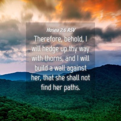 Picture 04 - Hosea 2:6 ASV - Therefore, behold, I will hedge up thy way with - Bible Verse Picture