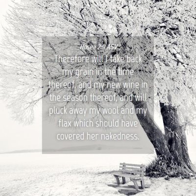 Picture 04 - Hosea 2:9 ASV - Therefore will I take back my grain in the time - Bible Verse Picture