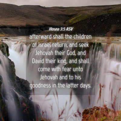 Picture 04 - Hosea 3:5 ASV - afterward shall the children of Israel return, - Bible Verse Picture