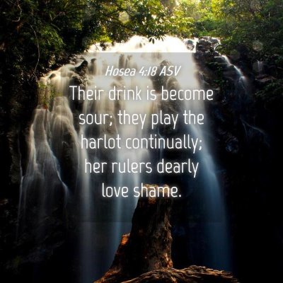 Picture 04 - Hosea 4:18 ASV - Their drink is become sour; they play the harlot - Bible Verse Picture