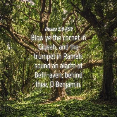Picture 04 - Hosea 5:8 ASV - Blow ye the cornet in Gibeah, and the trumpet in - Bible Verse Picture