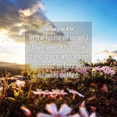 Picture 04 - Hosea 6:10 ASV - In the house of Israel I have seen a horrible - Bible Verse Picture