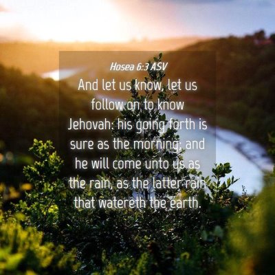 Picture 04 - Hosea 6:3 ASV - And let us know, let us follow on to know - Bible Verse Picture