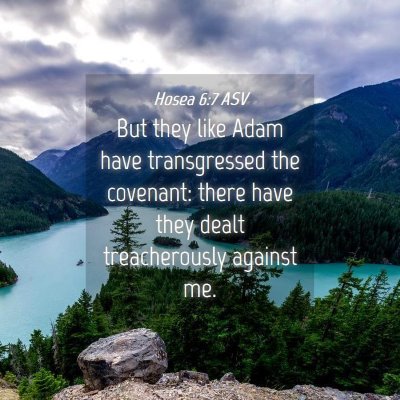 Picture 04 - Hosea 6:7 ASV - But they like Adam have transgressed the - Bible Verse Picture
