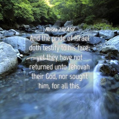 Picture 04 - Hosea 7:10 ASV - And the pride of Israel doth testify to his face: - Bible Verse Picture